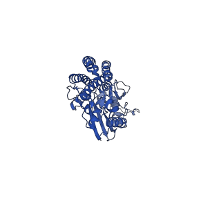 28581_8esw_S2_v1-1
Structure of mitochondrial complex I from Drosophila melanogaster, Flexible-class 1