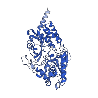 28581_8esw_V1_v1-1
Structure of mitochondrial complex I from Drosophila melanogaster, Flexible-class 1