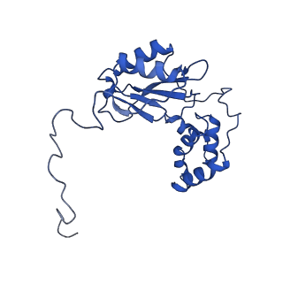 28581_8esw_V2_v1-1
Structure of mitochondrial complex I from Drosophila melanogaster, Flexible-class 1