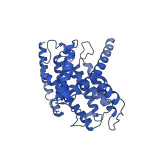 28582_8esz_1_v1-1
Structure of mitochondrial complex I from Drosophila melanogaster, Helix-locked state