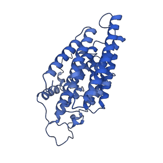 28582_8esz_2_v1-1
Structure of mitochondrial complex I from Drosophila melanogaster, Helix-locked state