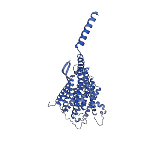 28582_8esz_5_v1-1
Structure of mitochondrial complex I from Drosophila melanogaster, Helix-locked state