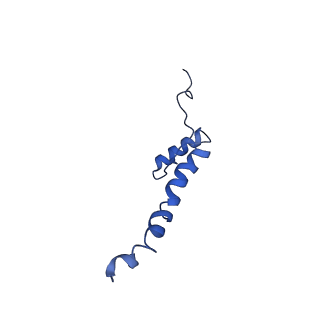 28582_8esz_A1_v1-1
Structure of mitochondrial complex I from Drosophila melanogaster, Helix-locked state