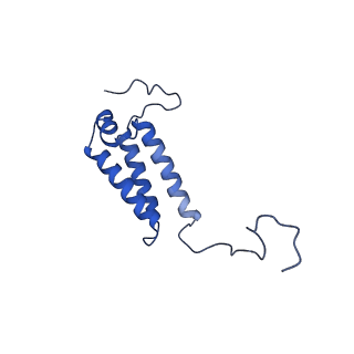 28582_8esz_A5_v1-1
Structure of mitochondrial complex I from Drosophila melanogaster, Helix-locked state