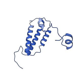 28582_8esz_A6_v1-1
Structure of mitochondrial complex I from Drosophila melanogaster, Helix-locked state