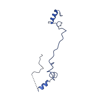 28582_8esz_A7_v1-1
Structure of mitochondrial complex I from Drosophila melanogaster, Helix-locked state