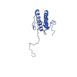28582_8esz_A8_v1-1
Structure of mitochondrial complex I from Drosophila melanogaster, Helix-locked state