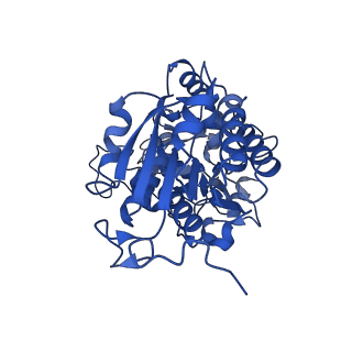 28582_8esz_A9_v1-1
Structure of mitochondrial complex I from Drosophila melanogaster, Helix-locked state