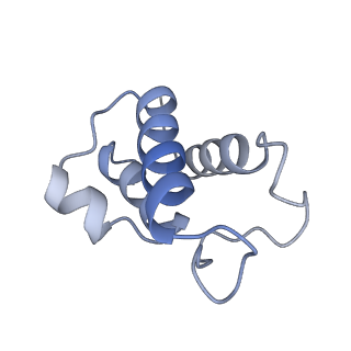 28582_8esz_AB_v1-1
Structure of mitochondrial complex I from Drosophila melanogaster, Helix-locked state