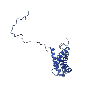 28582_8esz_AM_v1-1
Structure of mitochondrial complex I from Drosophila melanogaster, Helix-locked state