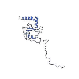 28582_8esz_AN_v1-1
Structure of mitochondrial complex I from Drosophila melanogaster, Helix-locked state