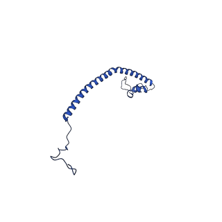 28582_8esz_AO_v1-1
Structure of mitochondrial complex I from Drosophila melanogaster, Helix-locked state