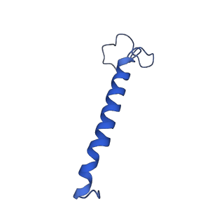 28582_8esz_B1_v1-1
Structure of mitochondrial complex I from Drosophila melanogaster, Helix-locked state