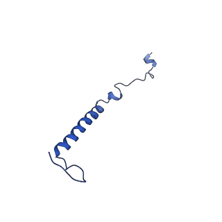 28582_8esz_B2_v1-1
Structure of mitochondrial complex I from Drosophila melanogaster, Helix-locked state
