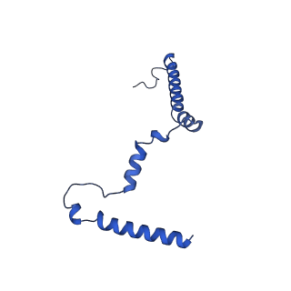 28582_8esz_B4_v1-1
Structure of mitochondrial complex I from Drosophila melanogaster, Helix-locked state