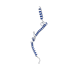 28582_8esz_B5_v1-1
Structure of mitochondrial complex I from Drosophila melanogaster, Helix-locked state