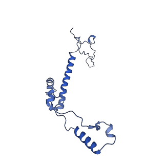 28582_8esz_B6_v1-1
Structure of mitochondrial complex I from Drosophila melanogaster, Helix-locked state