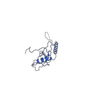28582_8esz_B8_v1-1
Structure of mitochondrial complex I from Drosophila melanogaster, Helix-locked state
