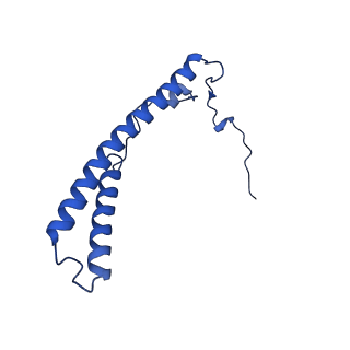 28582_8esz_C2_v1-1
Structure of mitochondrial complex I from Drosophila melanogaster, Helix-locked state