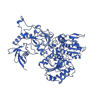 28582_8esz_S1_v1-1
Structure of mitochondrial complex I from Drosophila melanogaster, Helix-locked state