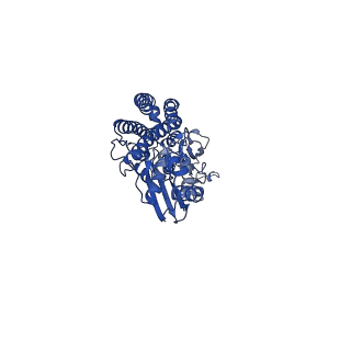 28582_8esz_S2_v1-1
Structure of mitochondrial complex I from Drosophila melanogaster, Helix-locked state