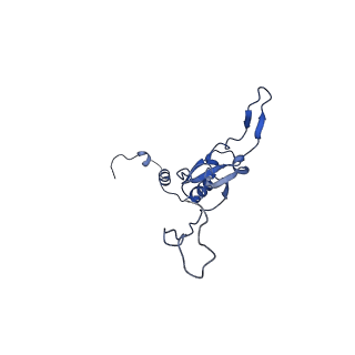 28582_8esz_S4_v1-1
Structure of mitochondrial complex I from Drosophila melanogaster, Helix-locked state