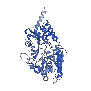 28582_8esz_V1_v1-1
Structure of mitochondrial complex I from Drosophila melanogaster, Helix-locked state