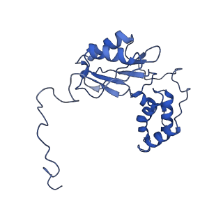 28582_8esz_V2_v1-1
Structure of mitochondrial complex I from Drosophila melanogaster, Helix-locked state