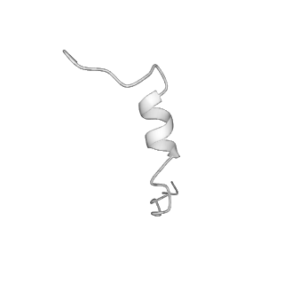28582_8esz_V3_v1-1
Structure of mitochondrial complex I from Drosophila melanogaster, Helix-locked state