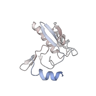 24396_8etj_3_v1-2
Fkbp39 associated 60S nascent ribosome State 2