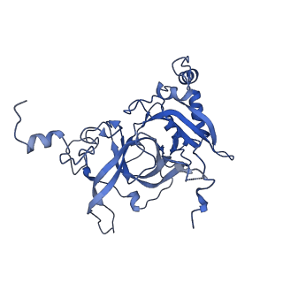 24396_8etj_B_v1-2
Fkbp39 associated 60S nascent ribosome State 2