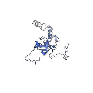 24396_8etj_E_v1-2
Fkbp39 associated 60S nascent ribosome State 2