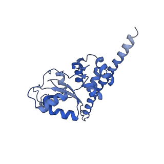 24396_8etj_F_v1-2
Fkbp39 associated 60S nascent ribosome State 2