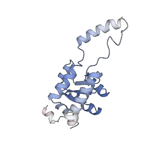 24396_8etj_G_v1-2
Fkbp39 associated 60S nascent ribosome State 2