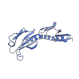 24396_8etj_H_v1-2
Fkbp39 associated 60S nascent ribosome State 2