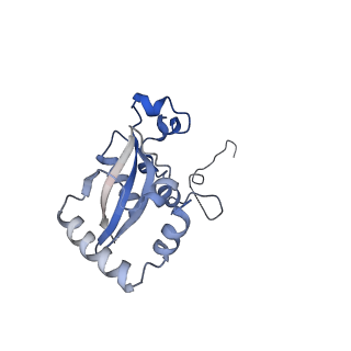 24396_8etj_N_v1-2
Fkbp39 associated 60S nascent ribosome State 2