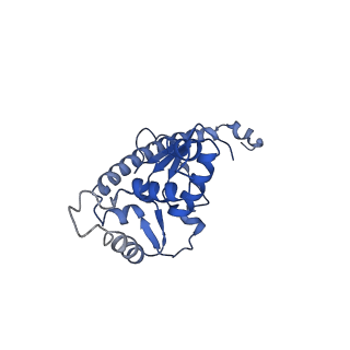 24396_8etj_O_v1-2
Fkbp39 associated 60S nascent ribosome State 2