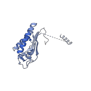 24396_8etj_P_v1-2
Fkbp39 associated 60S nascent ribosome State 2