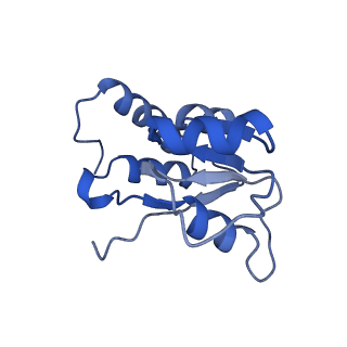 24396_8etj_Q_v1-2
Fkbp39 associated 60S nascent ribosome State 2