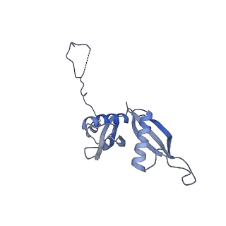 24396_8etj_S_v1-2
Fkbp39 associated 60S nascent ribosome State 2