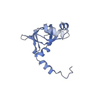 24396_8etj_Y_v1-2
Fkbp39 associated 60S nascent ribosome State 2