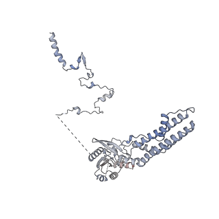 24396_8etj_b_v1-2
Fkbp39 associated 60S nascent ribosome State 2