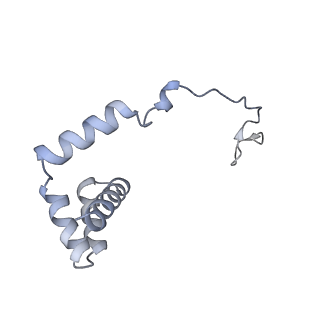 24396_8etj_i_v1-2
Fkbp39 associated 60S nascent ribosome State 2
