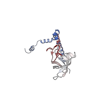 24396_8etj_r_v1-2
Fkbp39 associated 60S nascent ribosome State 2