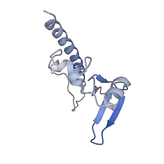 24396_8etj_u_v1-2
Fkbp39 associated 60S nascent ribosome State 2