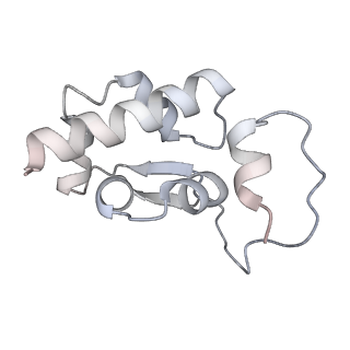 24396_8etj_w_v1-2
Fkbp39 associated 60S nascent ribosome State 2