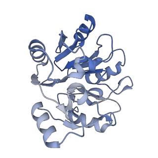 24396_8etj_y_v1-2
Fkbp39 associated 60S nascent ribosome State 2