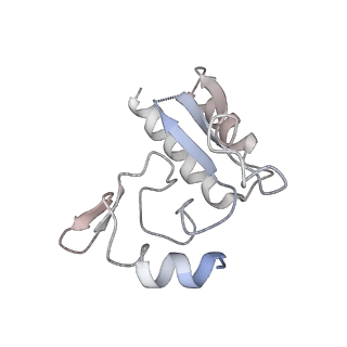 24398_8etc_3_v1-2
Fkbp39 associated nascent 60S ribosome State 4