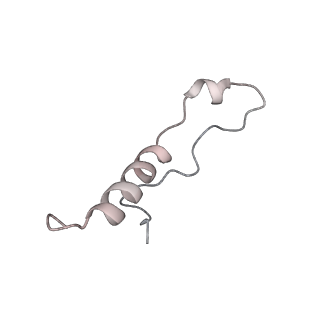 24398_8etc_8_v1-2
Fkbp39 associated nascent 60S ribosome State 4