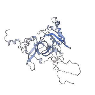 24398_8etc_B_v1-2
Fkbp39 associated nascent 60S ribosome State 4